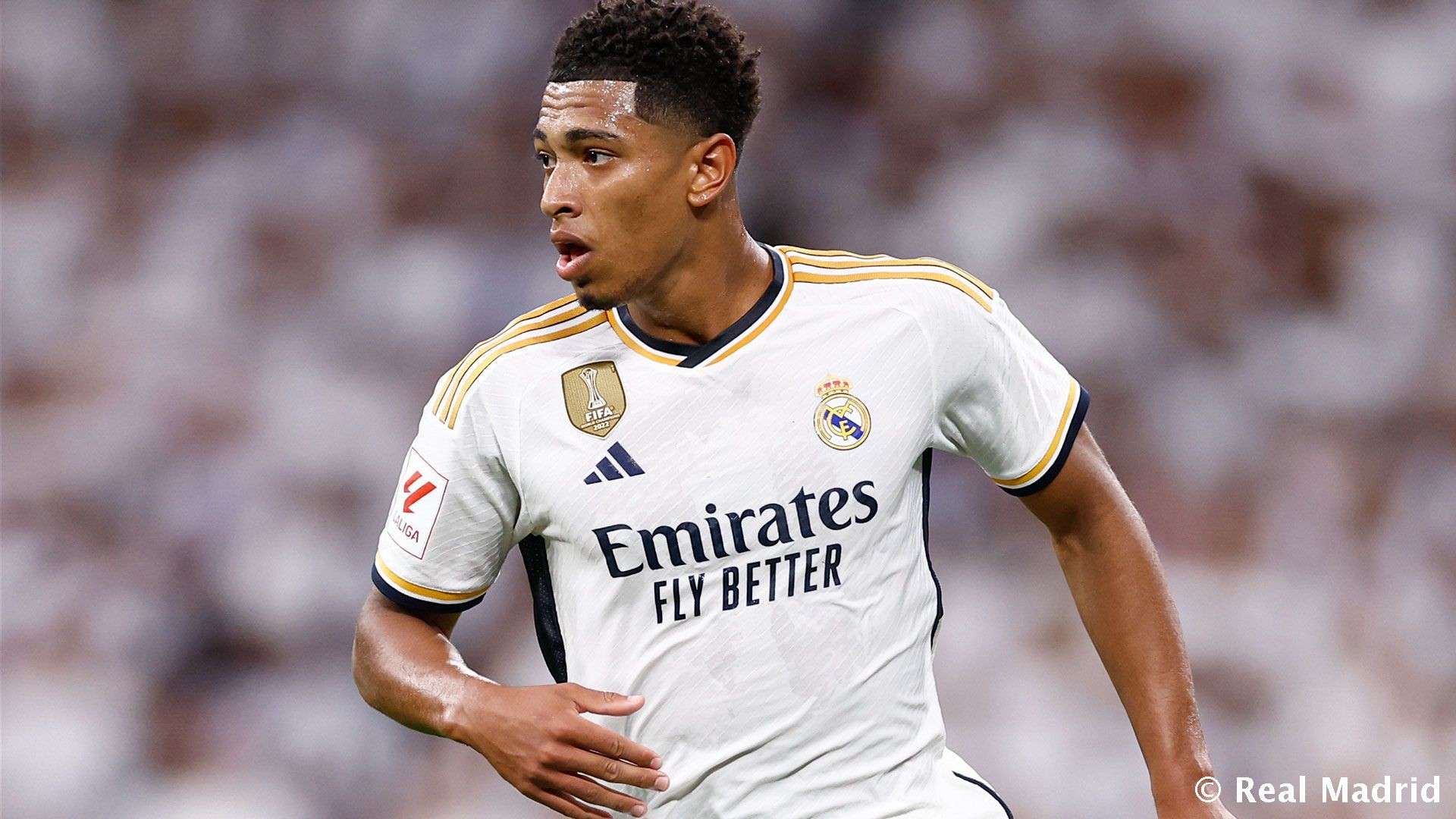 篮球勇士明星球员连续得分20+