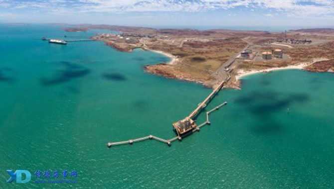 2025中冠奖项公布：厦门队张越包揽最佳球员、最佳射手